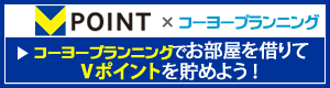 V-POINT